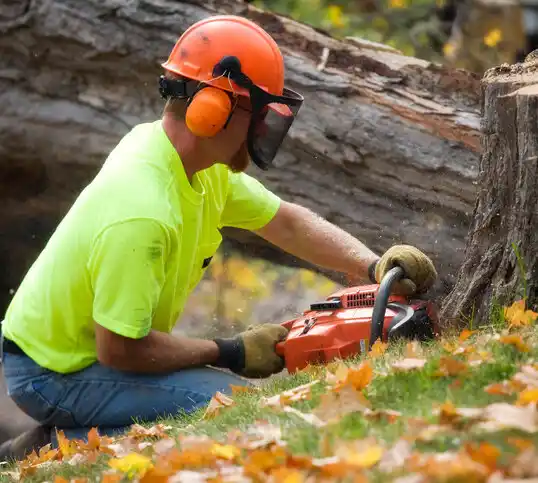 tree services Chillum